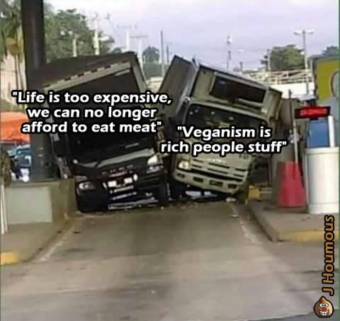 Let's Giggle at These Hilarious Vegan Memes That Nail The Struggle
