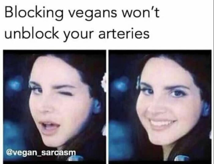 Let's Giggle at These Hilarious Vegan Memes That Nail The Struggle