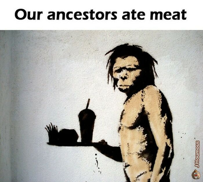 Let's Giggle at These Hilarious Vegan Memes That Nail The Struggle