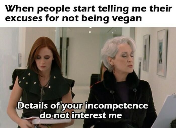 Let's Giggle at These Hilarious Vegan Memes That Nail The Struggle