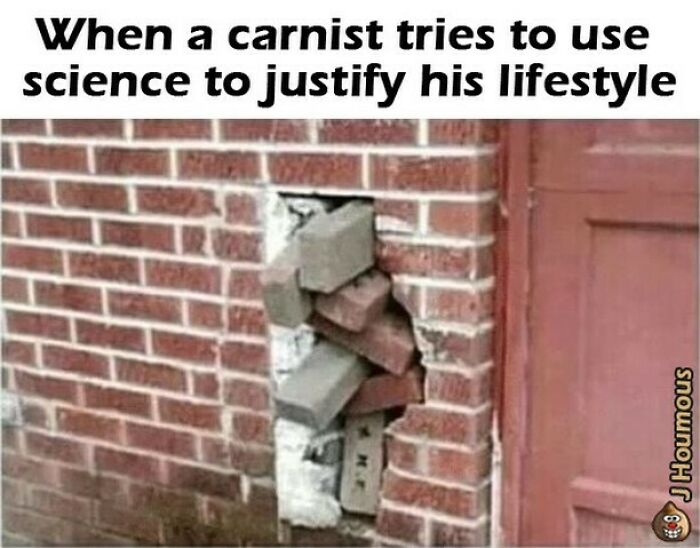 Let's Giggle at These Hilarious Vegan Memes That Nail The Struggle