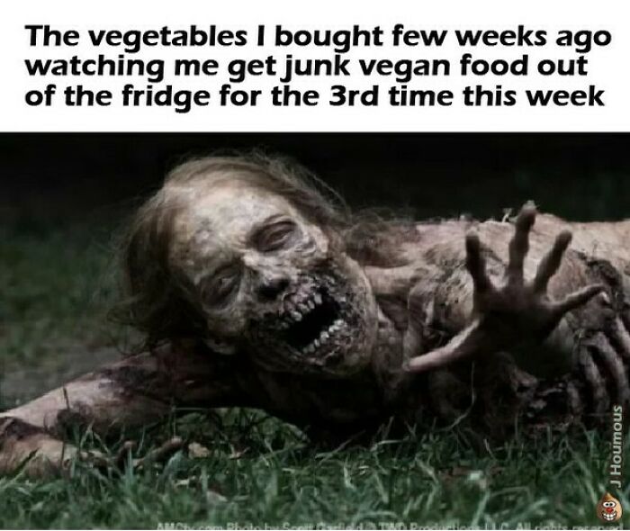 Let's Giggle at These Hilarious Vegan Memes That Nail The Struggle