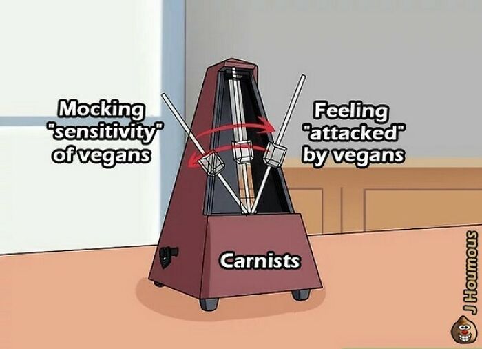 Let's Giggle at These Hilarious Vegan Memes That Nail The Struggle