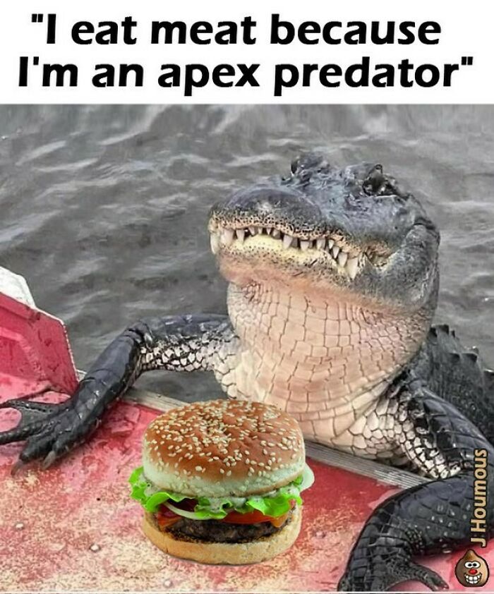 Let's Giggle at These Hilarious Vegan Memes That Nail The Struggle