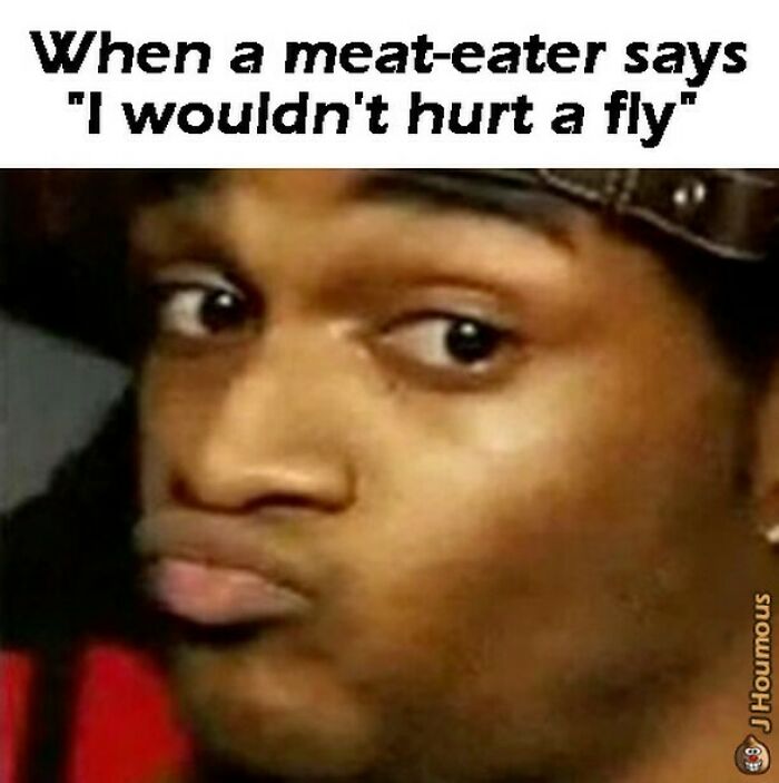 Let's Giggle at These Hilarious Vegan Memes That Nail The Struggle