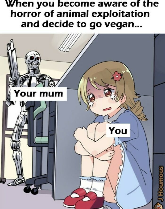 Let's Giggle at These Hilarious Vegan Memes That Nail The Struggle