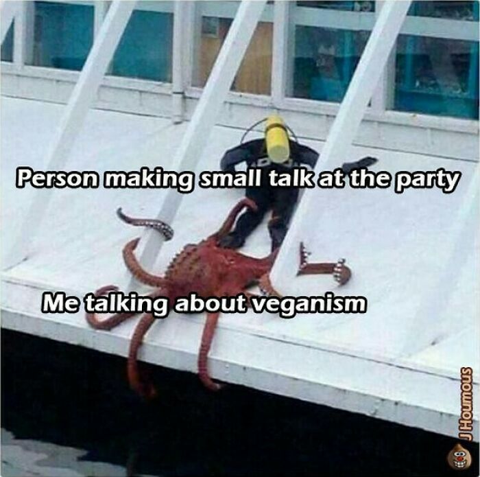 Let's Giggle at These Hilarious Vegan Memes That Nail The Struggle