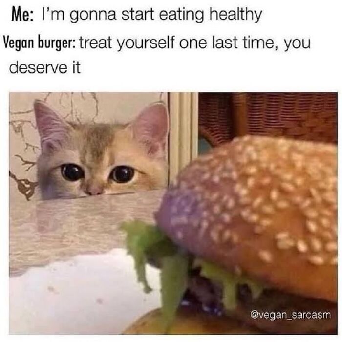 Let's Giggle at These Hilarious Vegan Memes That Nail The Struggle
