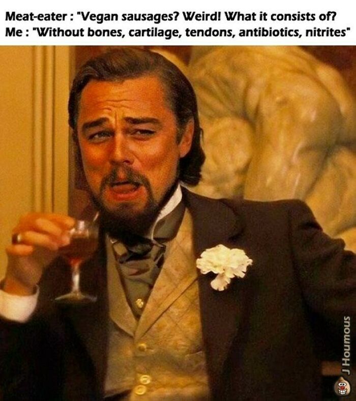 Let's Giggle at These Hilarious Vegan Memes That Nail The Struggle