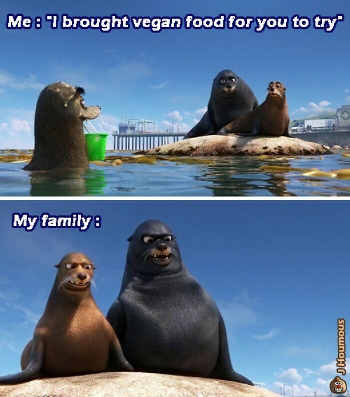 Let's Giggle at These Hilarious Vegan Memes That Nail The Struggle