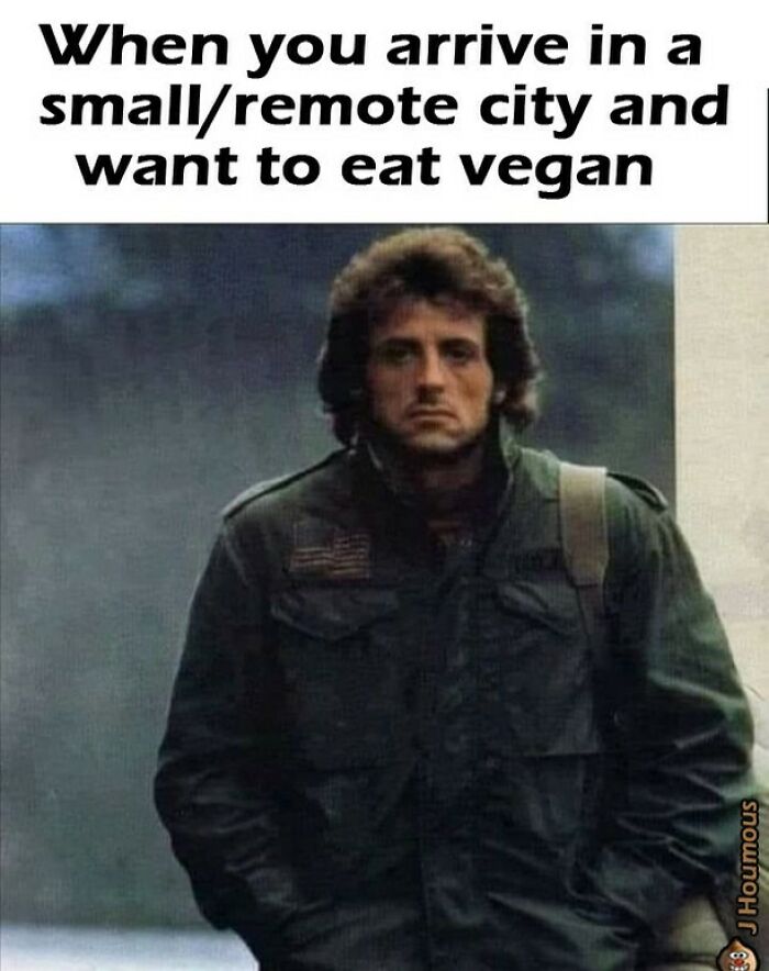 Let's Giggle at These Hilarious Vegan Memes That Nail The Struggle