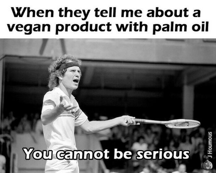 Let's Giggle at These Hilarious Vegan Memes That Nail The Struggle