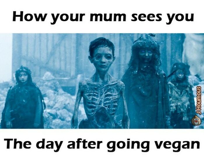 Let's Giggle at These Hilarious Vegan Memes That Nail The Struggle