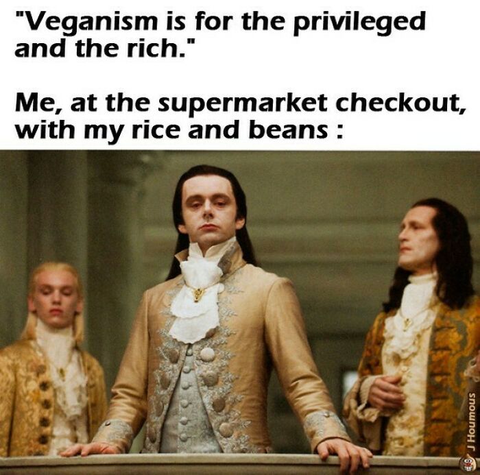 Let's Giggle at These Hilarious Vegan Memes That Nail The Struggle