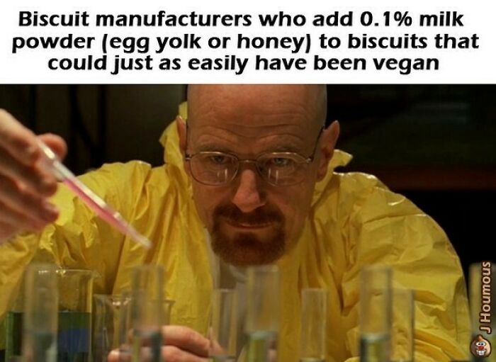 Let's Giggle at These Hilarious Vegan Memes That Nail The Struggle