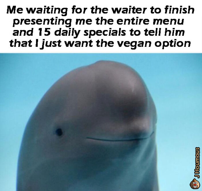 Let's Giggle at These Hilarious Vegan Memes That Nail The Struggle