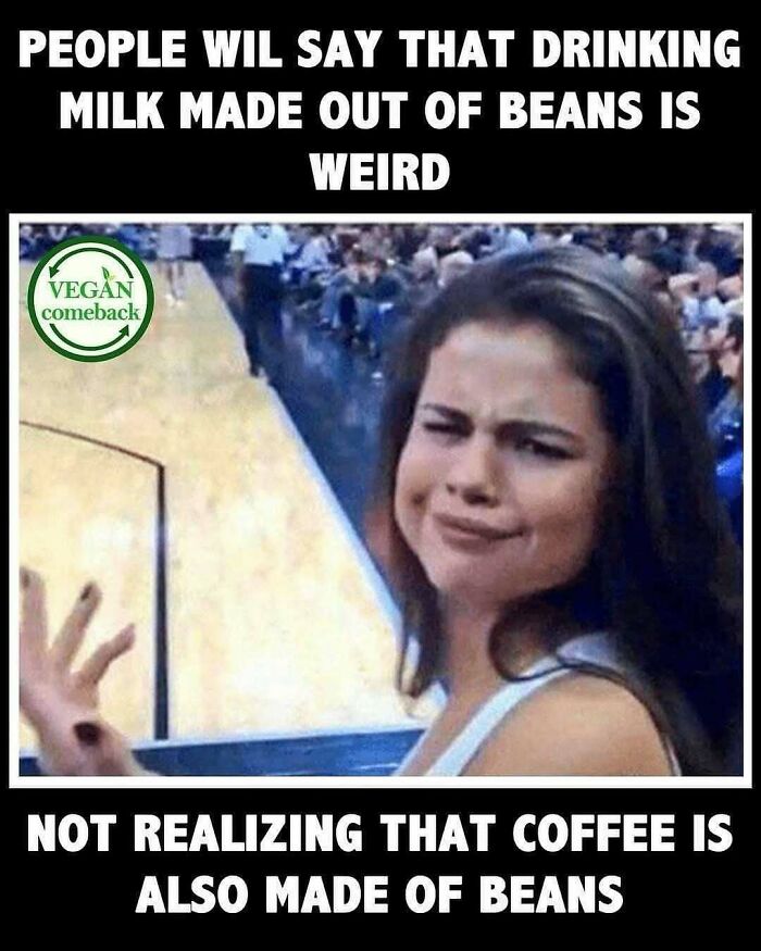 Let's Giggle at These Hilarious Vegan Memes That Nail The Struggle