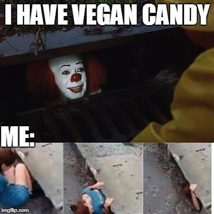 Let's Giggle at These Hilarious Vegan Memes That Nail The Struggle
