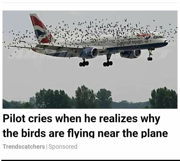 When People Got So Mad, They Made Local Headlines and We Can't Stop Laughing
