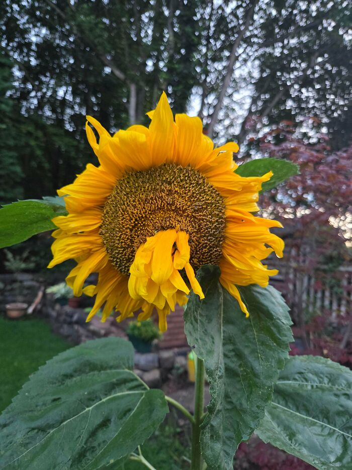 Plants Gone Wild: 100 Times Nature Just Couldn't Keep It Together