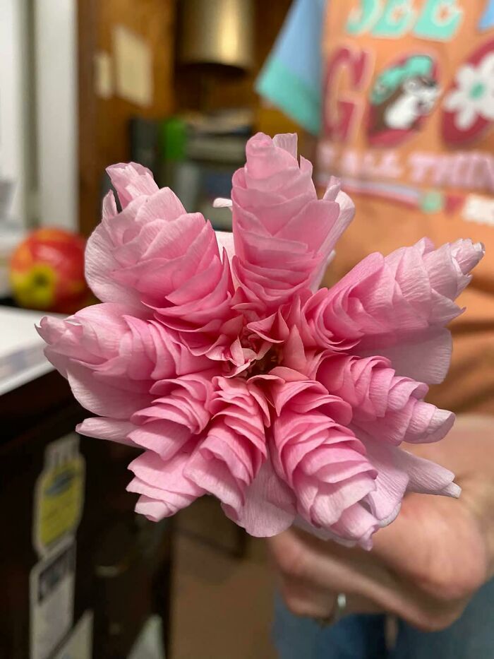 Plants Gone Wild: 100 Times Nature Just Couldn't Keep It Together