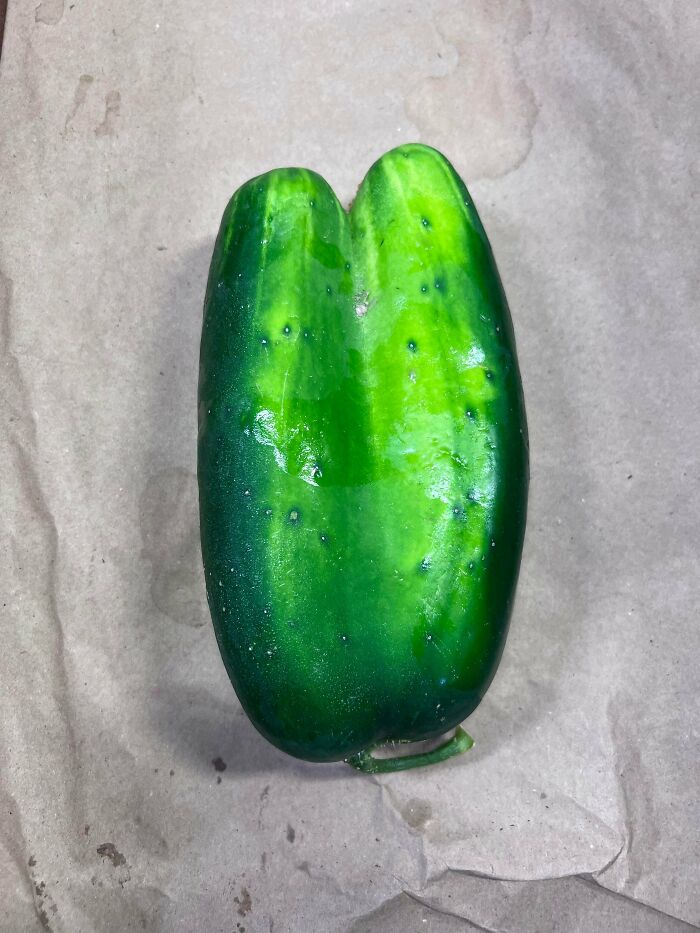 Plants Gone Wild: 100 Times Nature Just Couldn't Keep It Together