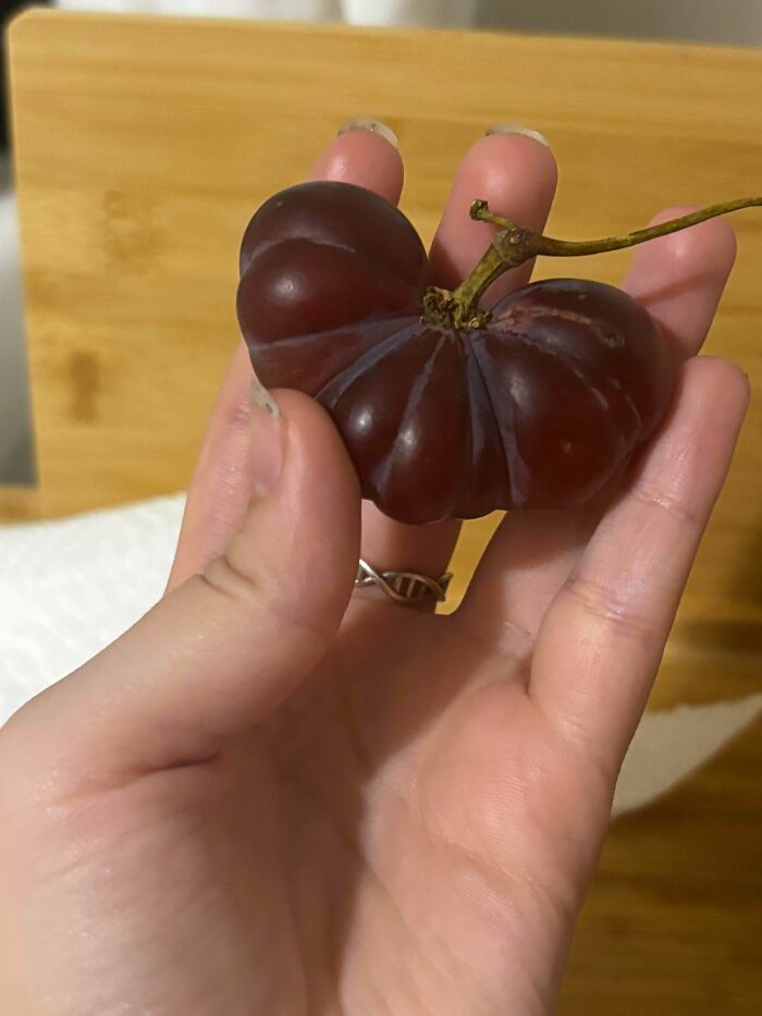 Plants Gone Wild: 100 Times Nature Just Couldn't Keep It Together