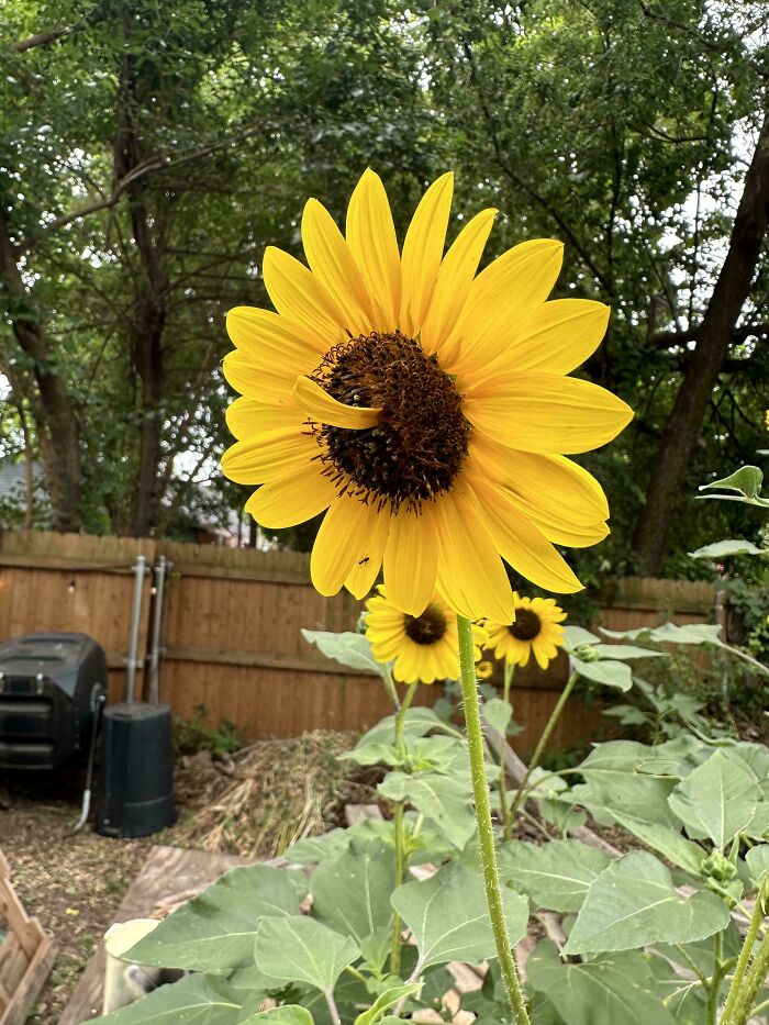 Plants Gone Wild: 100 Times Nature Just Couldn't Keep It Together
