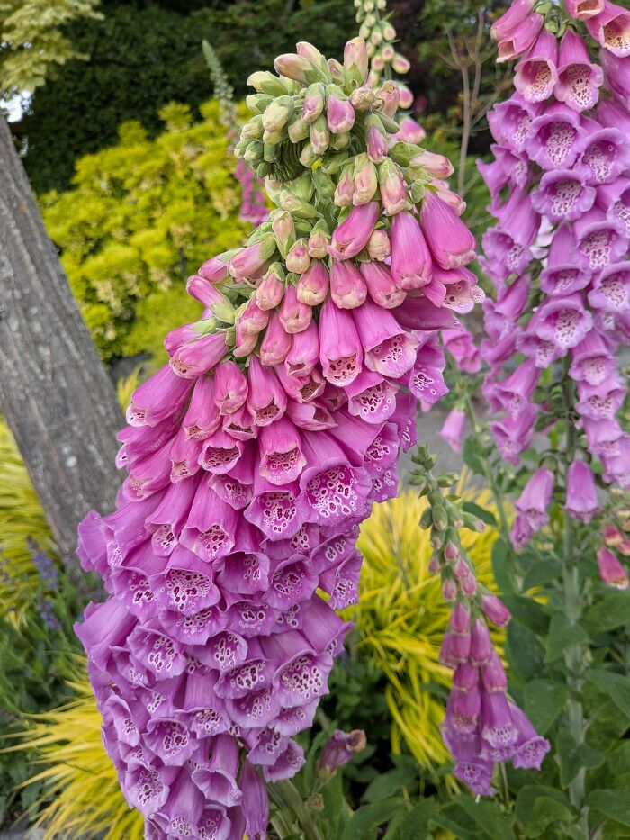 Plants Gone Wild: 100 Times Nature Just Couldn't Keep It Together