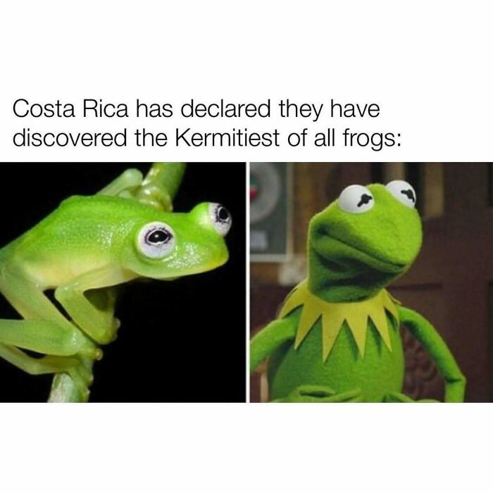 85 Hilariously Random Memes That Totally Made Our Day