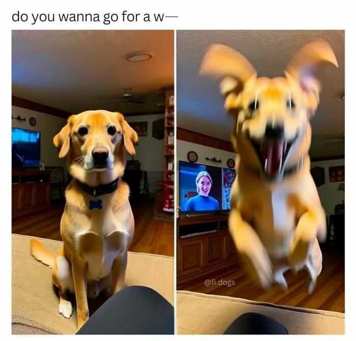 85 Hilariously Random Memes That Totally Made Our Day