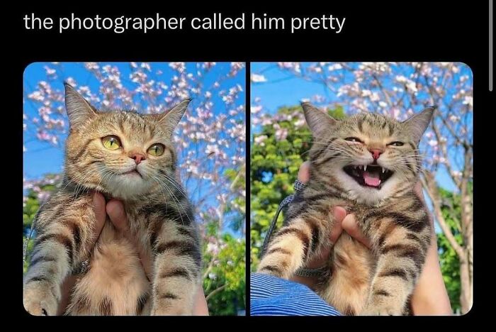 85 Hilariously Random Memes That Totally Made Our Day