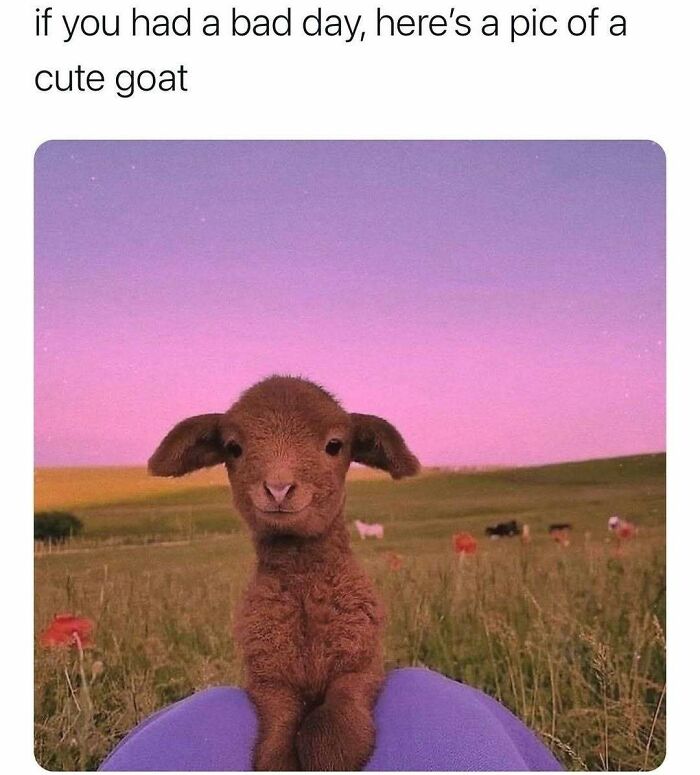 85 Hilariously Random Memes That Totally Made Our Day