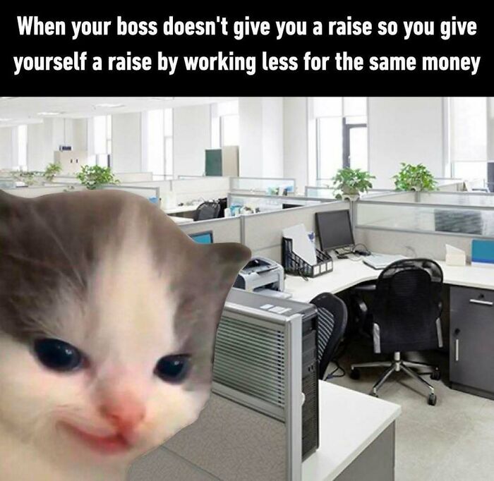 85 Hilariously Random Memes That Totally Made Our Day
