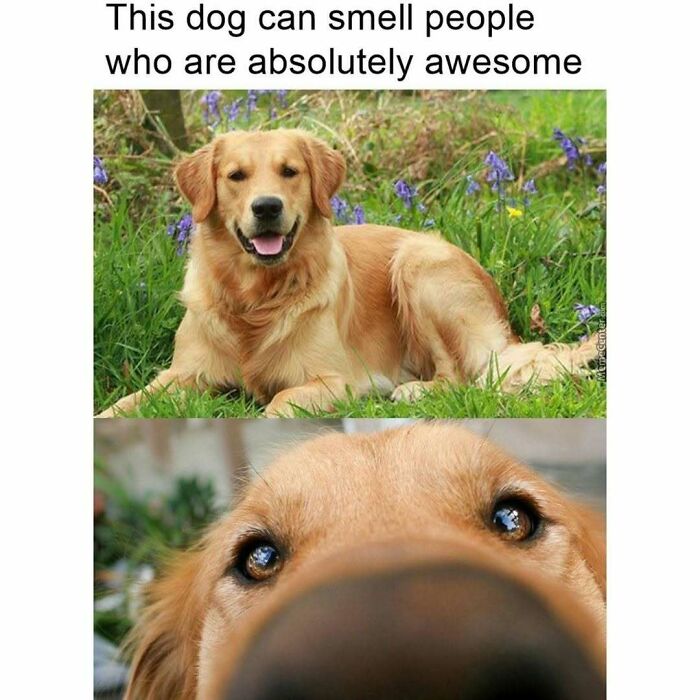 85 Hilariously Random Memes That Totally Made Our Day