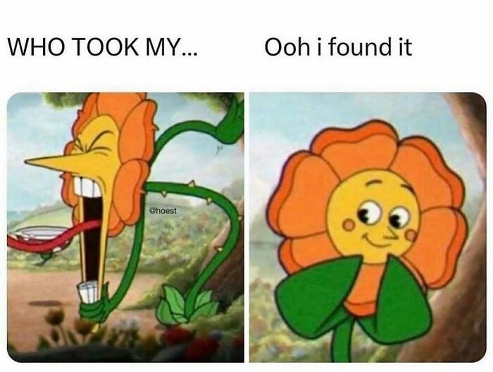 85 Hilariously Random Memes That Totally Made Our Day