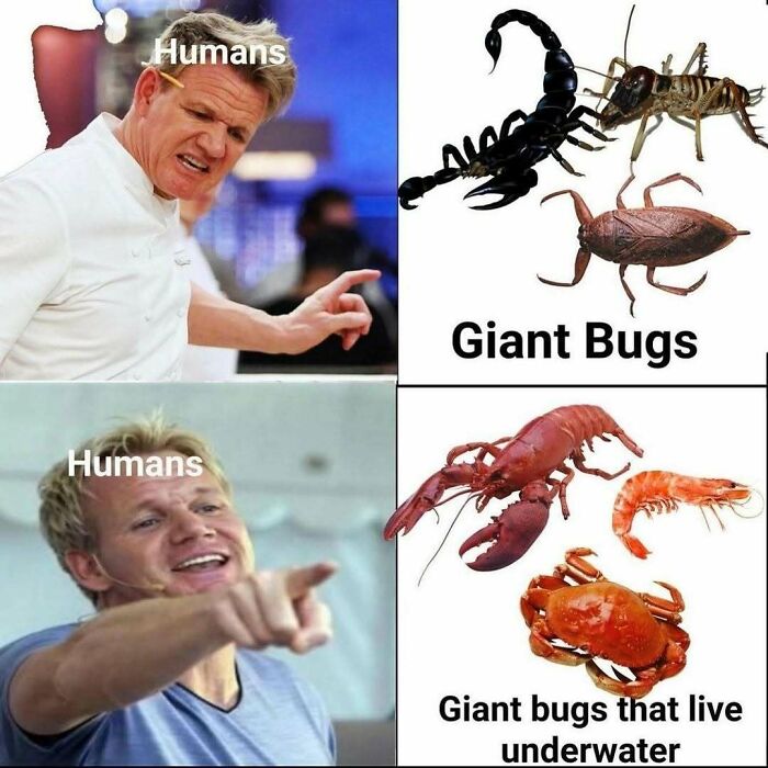 85 Hilariously Random Memes That Totally Made Our Day