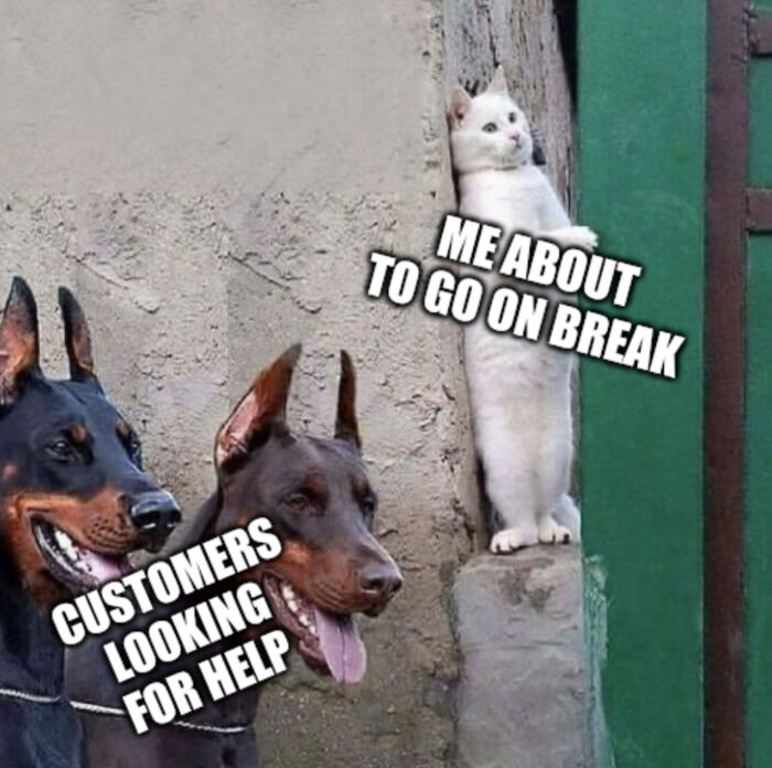 Mastering The Art Of Stealth Breaks