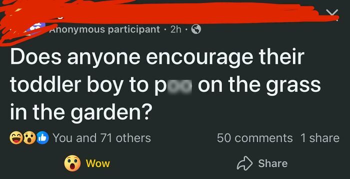 Pardon??? What Did I Just Read?