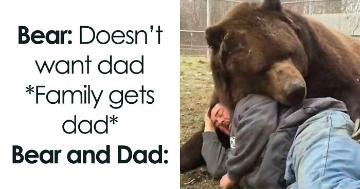 Wait, They Actually Ranked These Hilarious Memes?!