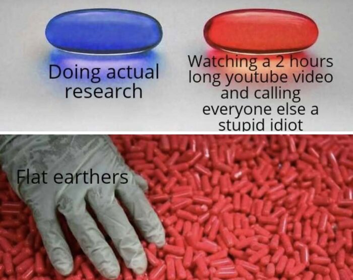Wait, They Actually Ranked These Hilarious Memes?!