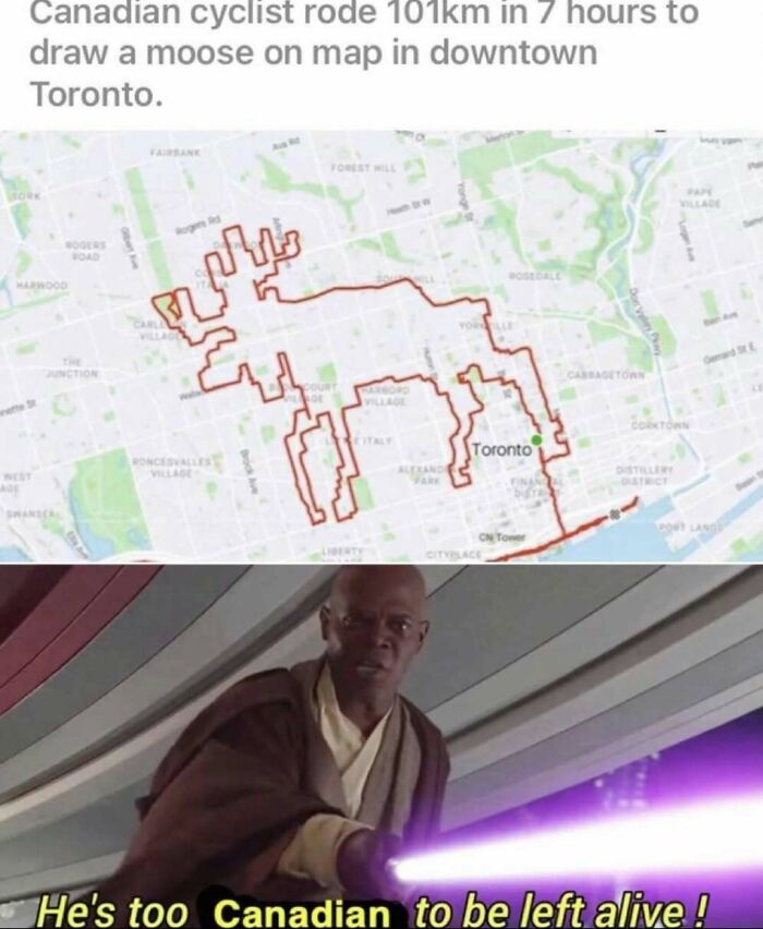 Wait, They Actually Ranked These Hilarious Memes?!