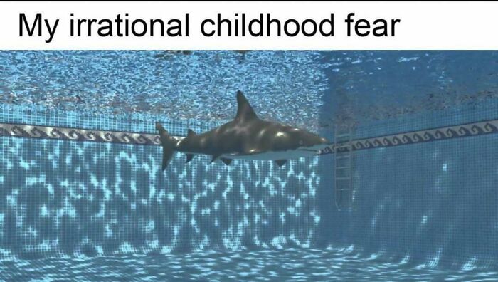 Wait, They Actually Ranked These Hilarious Memes?!