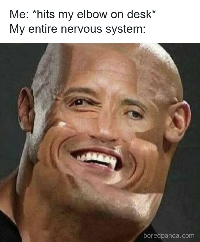 Wait, They Actually Ranked These Hilarious Memes?!