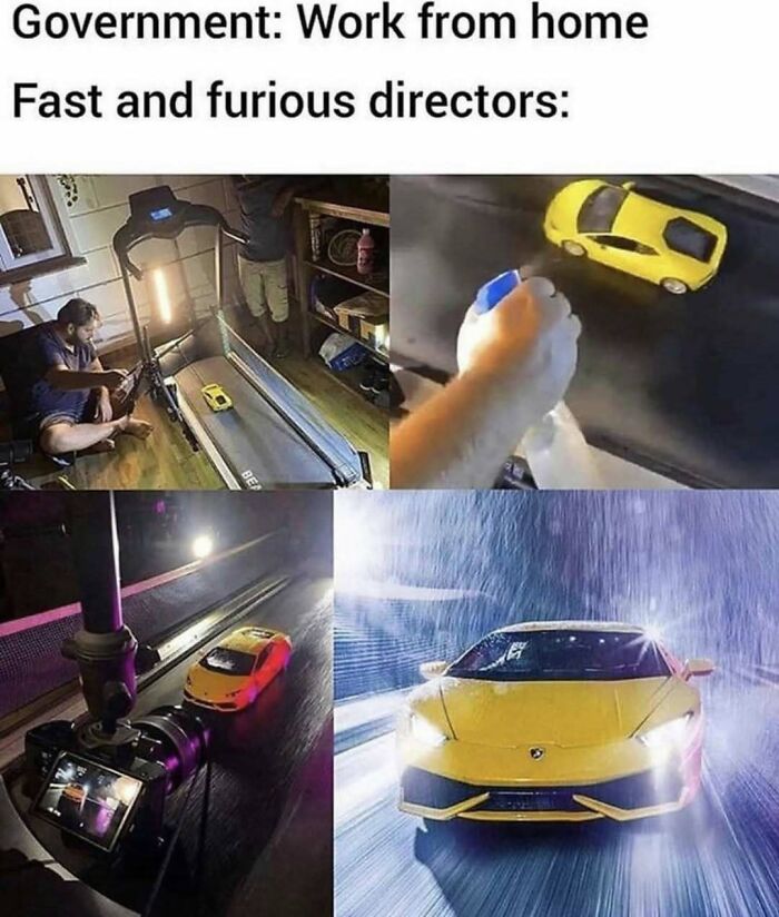 Wait, They Actually Ranked These Hilarious Memes?!