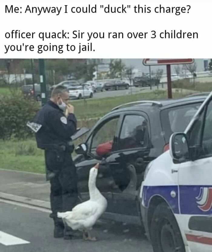 Wait, They Actually Ranked These Hilarious Memes?!