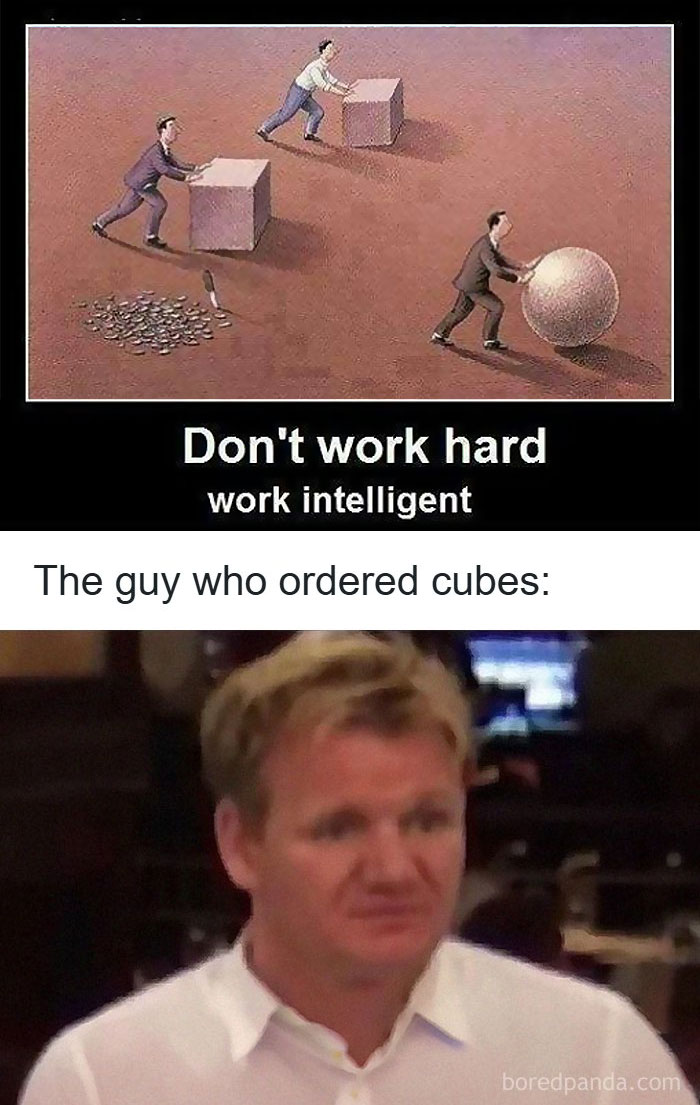 Wait, They Actually Ranked These Hilarious Memes?!