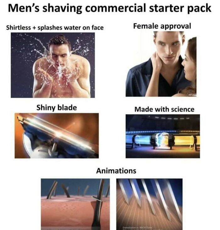 Wait, They Actually Ranked These Hilarious Memes?!