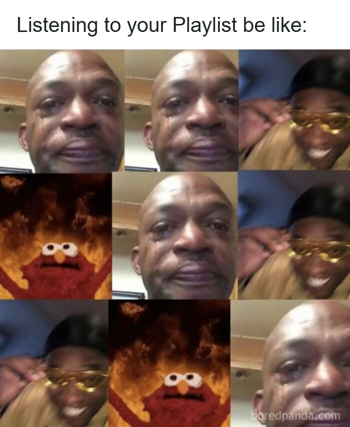 Wait, They Actually Ranked These Hilarious Memes?!