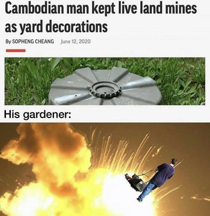 Wait, They Actually Ranked These Hilarious Memes?!